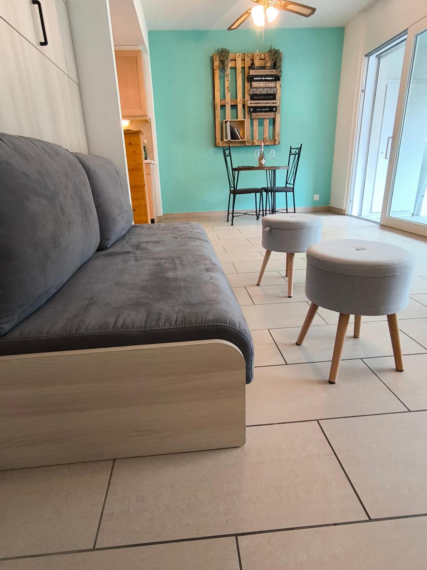 Superbe Studio A Saillon Les Bains エクステリア 写真
